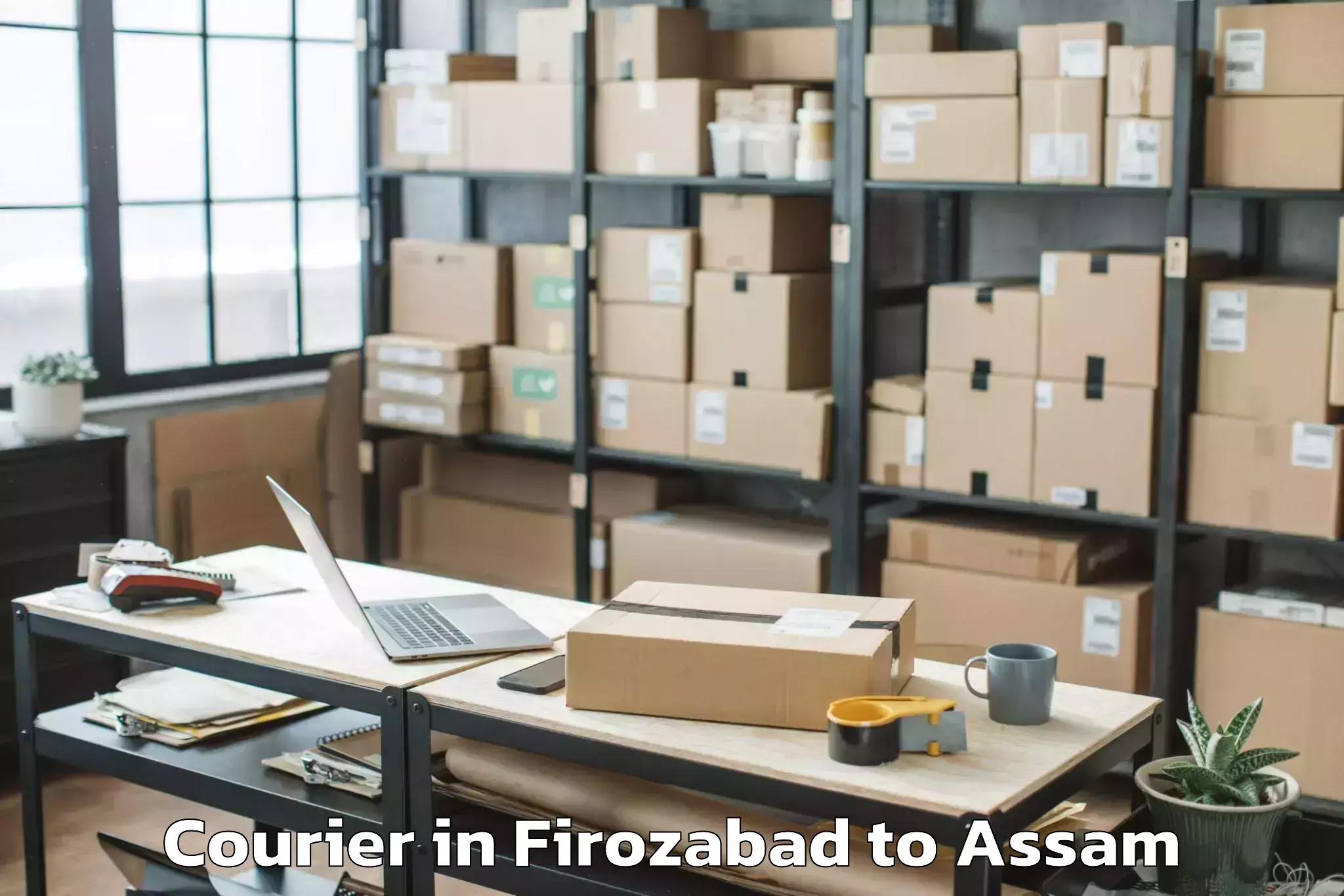 Trusted Firozabad to Pathorighat Pt Courier